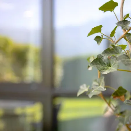 Apartamento Maison Claire *